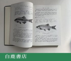 【白鹿书店】中国动物志 硬骨鱼纲 鲤形目 中卷 科学出版社1998年初版精装仅印900册