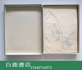 【白鹿书店】上海标本模型厂1969年生产 药用植物标本 一盒20枚