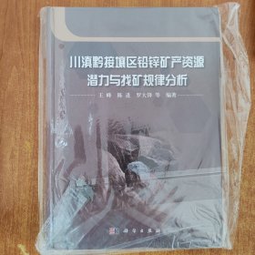 川滇黔接壤区铅锌矿产资源潜力与找矿规律分析