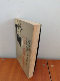 气功与特异功能解析
