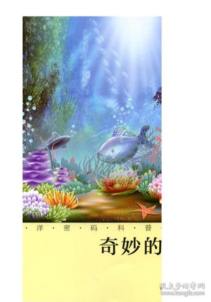 海洋密码科普丛书：奇妙的海洋