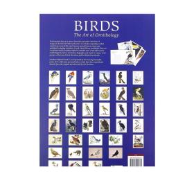 Birds: The Art Of Ornithology 进口艺术 鸟类：鸟类学的艺术（盒装）动物绘画画册