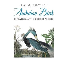 现货 Treasury of Audubon Birds 进口艺术 奥杜邦的鸟类作品