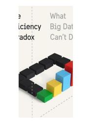 The Efficiency Paradox: What Big Data Can't Do