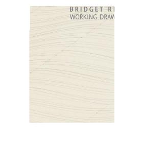 Bridget Riley: Prepatory Work 进口艺术 布里奇特 莱利：绘画的过程