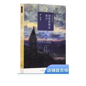 如彗星划过夜空：近距离看美国之四