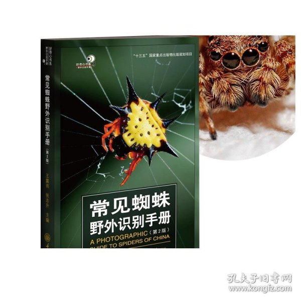 常见蜘蛛野外识别手册