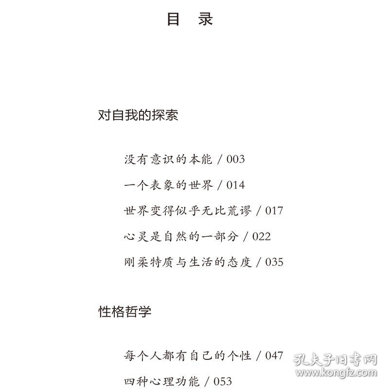 正版包邮 荣格 岸是永不消失的希望 荣格著 西方哲学畅销外国小说 世界文学名著 可搭叔本华 卢梭 尼采等畅销书籍 外国小说书籍