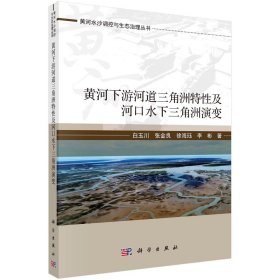 [按需印刷]黄河下游河道三角洲特性及河口水下三角洲演变