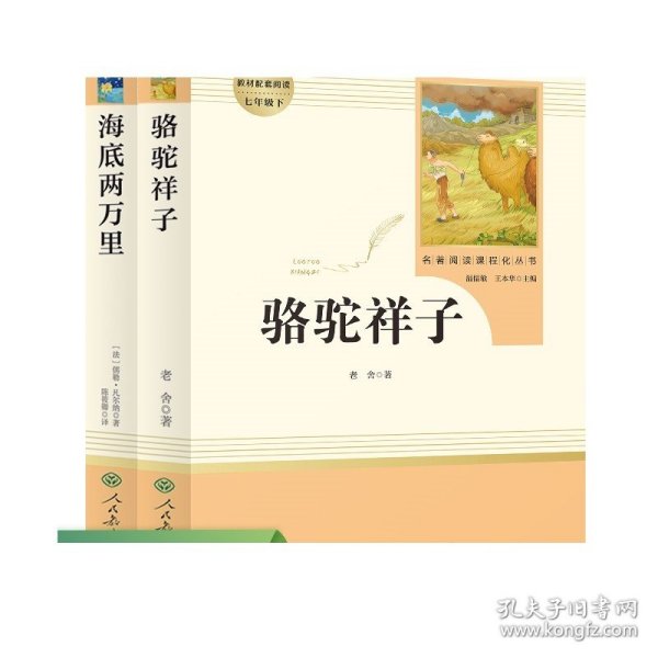 教材解读：英语（九年级下 人教版）