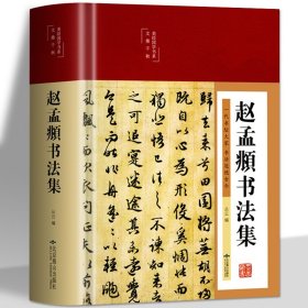 赵孟頫书法集  行楷书彩绘版字帖 书法初学者入门硬笔毛笔手写书法鉴赏国学经典临摹范本 国学经典行楷字帖字体书法技法范本教程