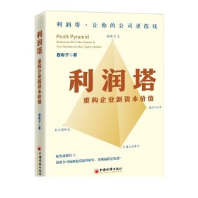 利润塔：重构企业新资本价值  中国经济出版社