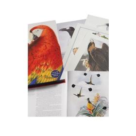 Birds: The Art Of Ornithology 进口艺术 鸟类：鸟类学的艺术（盒装）动物绘画画册
