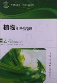 正版二手 植物组织培养石文山中国轻工业出版社