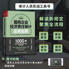 国有企业经济责任审计实务指南 国企审计工具书财务报告会计财务报表普华审计实务工具书籍 内部 内审 咨询会计师事务所风控