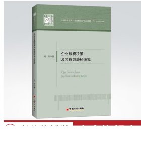 企业规模决策及其有效路径研究