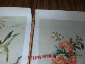 四季花鸟（春夏秋冬） 国画四条屏 长4开4张一套   1957年上海画片出版社印刷【包老保真】尺寸：76.5*26.7厘米