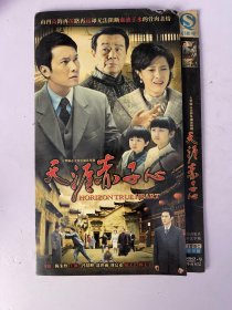 天涯赤子心（全2张 光盘） DVD