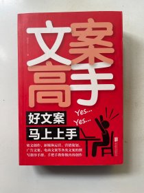 文案高手：好文案马上上手