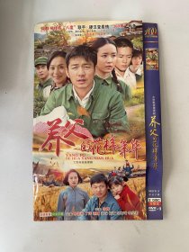 养父的花样年华（全2张 光盘） DVD