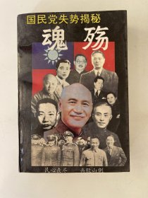 魂殇 : 国民党失势揭秘