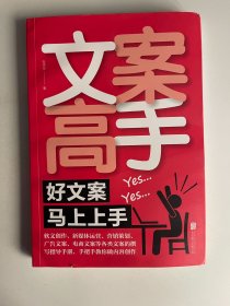 文案高手：好文案马上上手