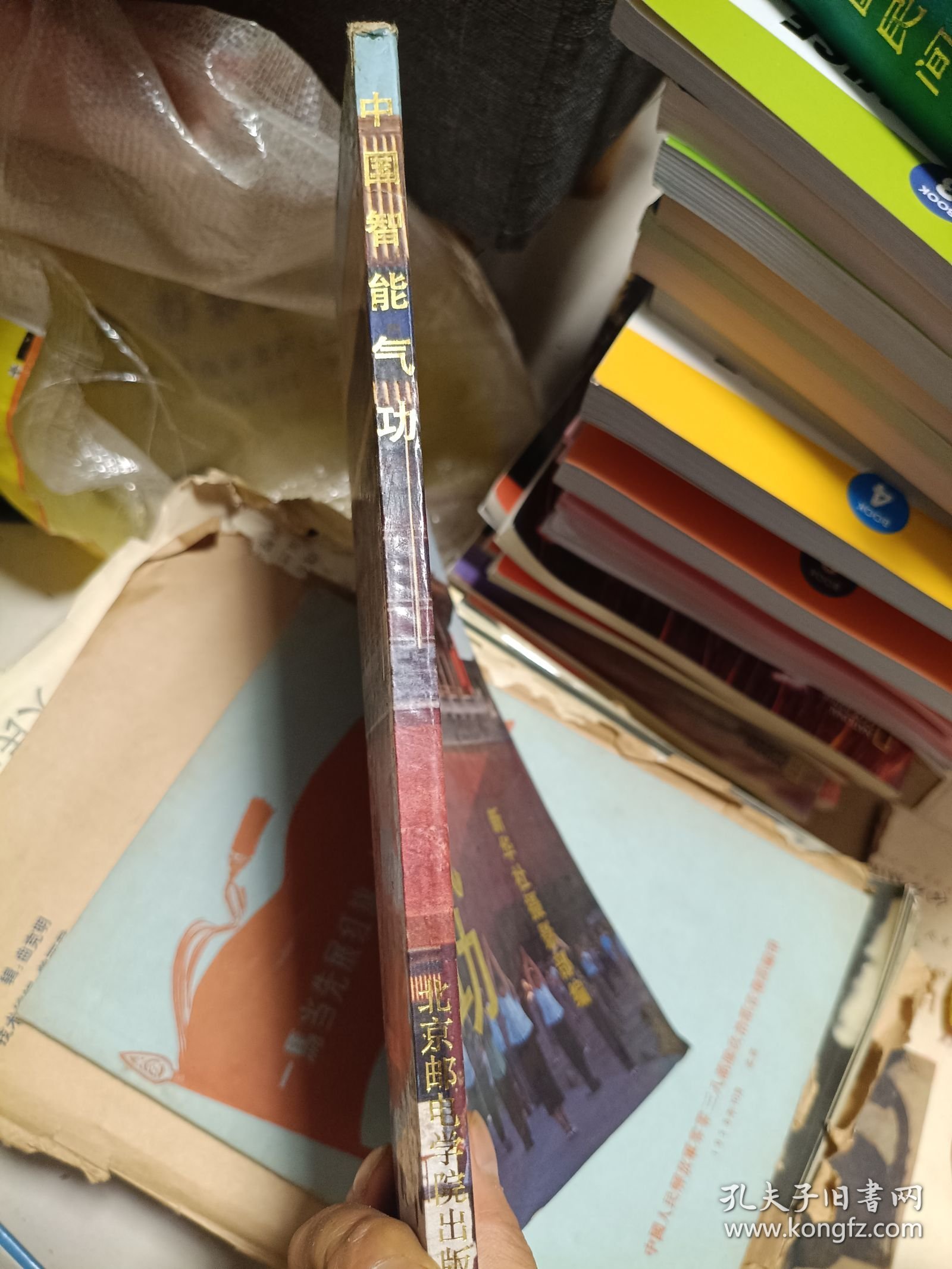 中国气功（铜版纸大画册，名家演示）