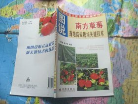 图说南方草莓露地高效栽培关键技术