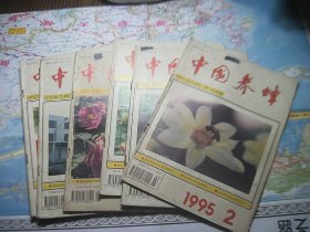 中国养蜂 1995年1-6期全