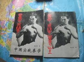 意拳-中国现代实战拳术、意拳养生