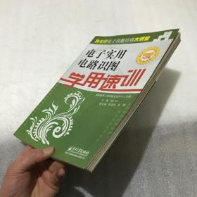 电子实用电路识图学用速训