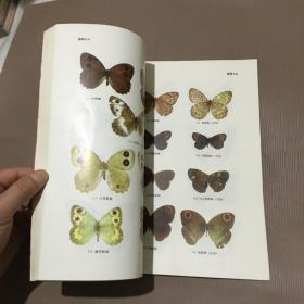 鳞翅目：蝶类 陕西省经济昆虫图志