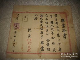 1955年【孟县武桥初级小学校】毕业证书！尺寸33/28厘米