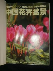 中国花卉盆景 2007年全年合订本