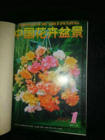 中国花卉盆景 2001年全年合订本