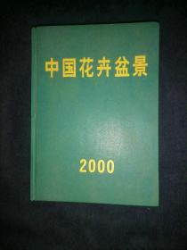 中国花卉盆景 2000年全年合订本