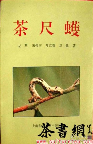 茶书网：《茶尺蠖》