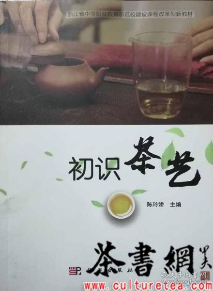 初识茶艺