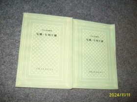 安娜·卡列宁娜 上下全（网格本）