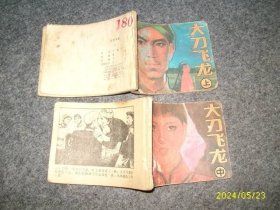 大刀飞龙（上中）
