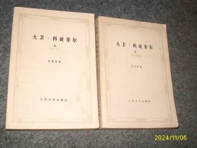 大卫 科波菲尔（ 上下全）