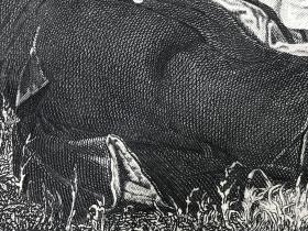 《捕鸟人》—俄罗斯现实主义运动的关键人物瓦西里·佩罗夫(Vasily Perov,1834-1882年)作品 19世纪末照相腐蚀凹版铜版画 雕刻师J. P. Poshalostin 纸张尺寸39*29.5厘米
