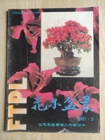 花木盆景1997年第3期