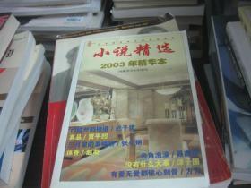小说精选 2003年 精华本