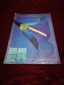 摄影世界1991年第5期