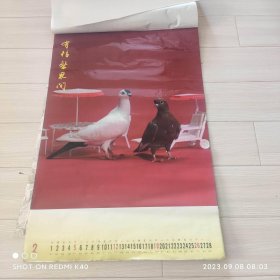 1995年塑皮挂历和平天使鸽子全年12张