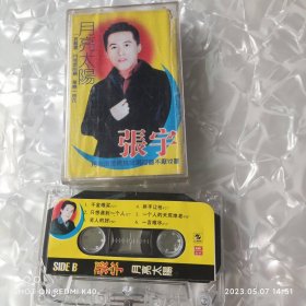 月亮太阳 张宇 千金难买 月亮惹的祸 等12首歌曲 老磁带