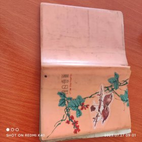 八十年代老日记本 花鸟日记 多幅图 已用过