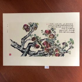 活页画片--石榴.王个移作.[8开]编3