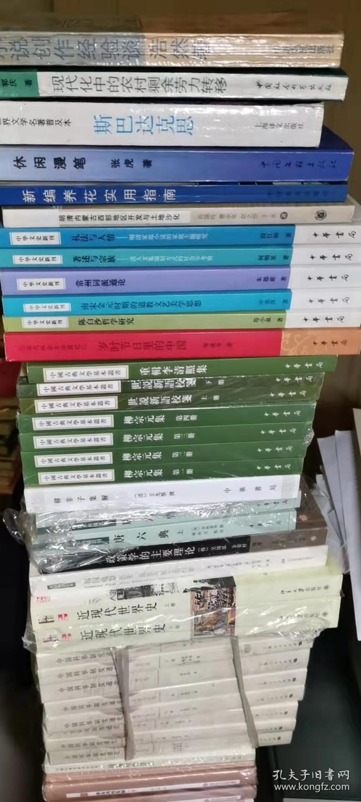 重辑李清照集（中国古典文学基本丛书）